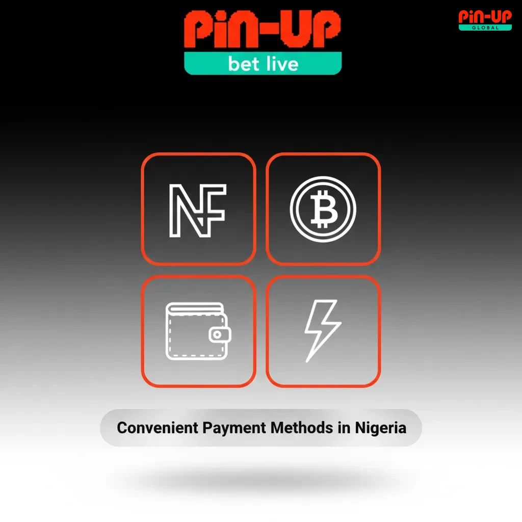 Nigeria payment methods: Visa, Mastercard, Verve, bank transfer/USSD, OPay, PalmPay, Paystack, Flutterwave, USDT, BTC.